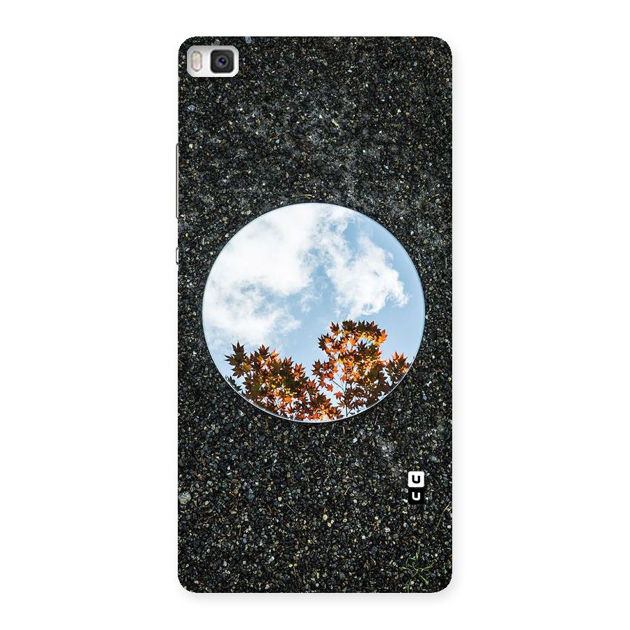 Beautiful Sky Leaves Back Case for Huawei P8