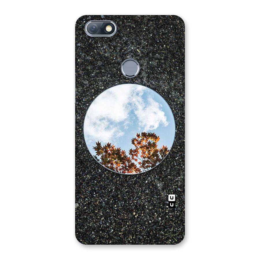 Beautiful Sky Leaves Back Case for Infinix Note 5