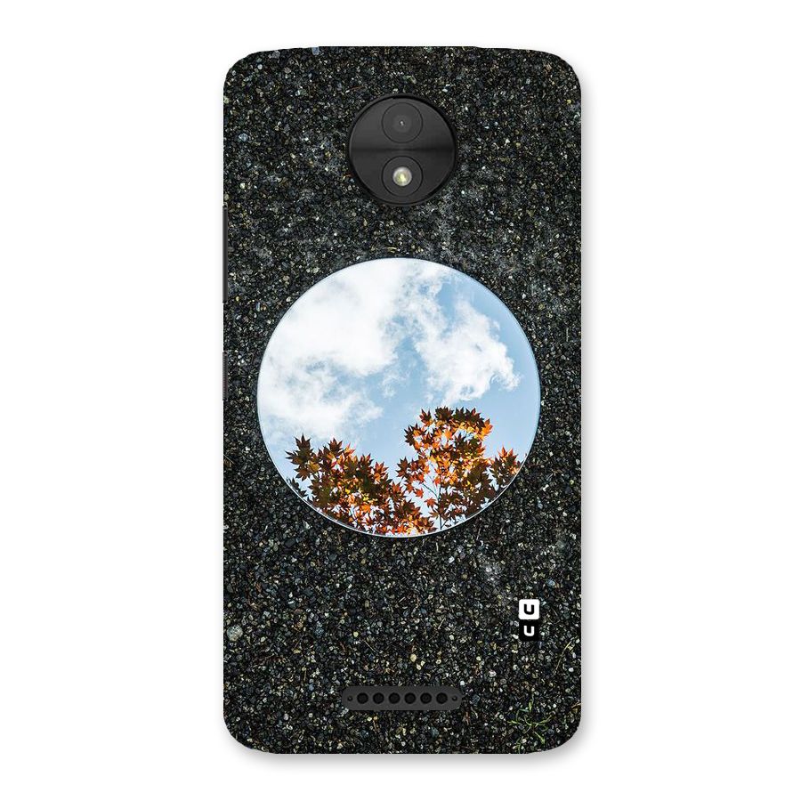 Beautiful Sky Leaves Back Case for Moto C