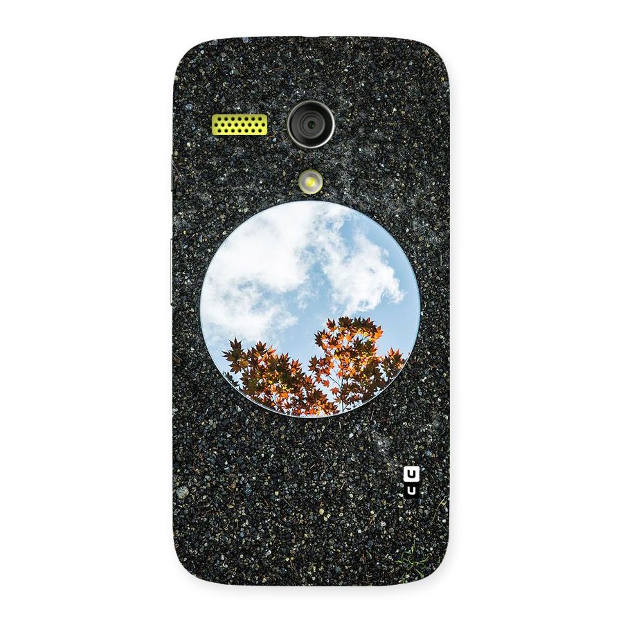 Beautiful Sky Leaves Back Case for Moto G