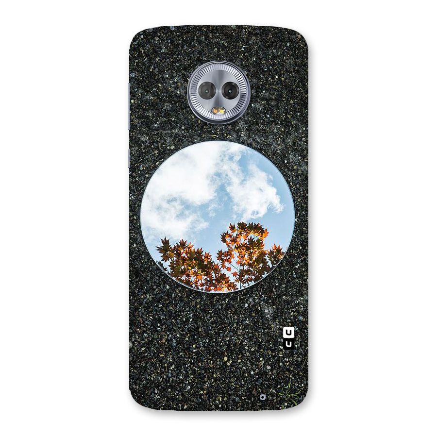 Beautiful Sky Leaves Back Case for Moto G6 Plus