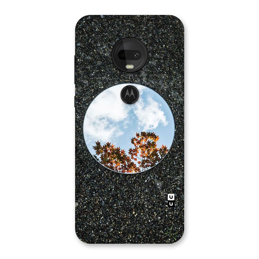 Beautiful Sky Leaves Back Case for Moto G7