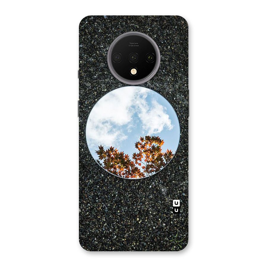Beautiful Sky Leaves Back Case for OnePlus 7T