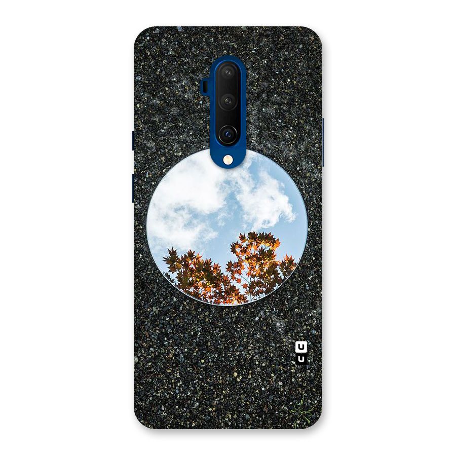 Beautiful Sky Leaves Back Case for OnePlus 7T Pro