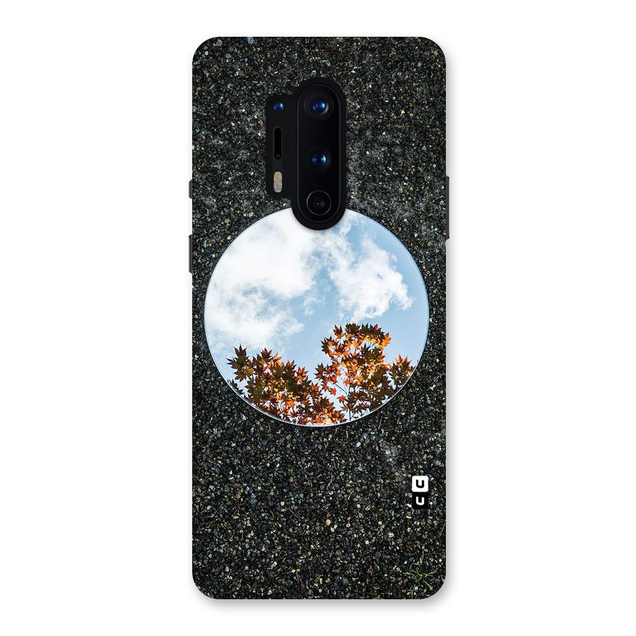 Beautiful Sky Leaves Back Case for OnePlus 8 Pro