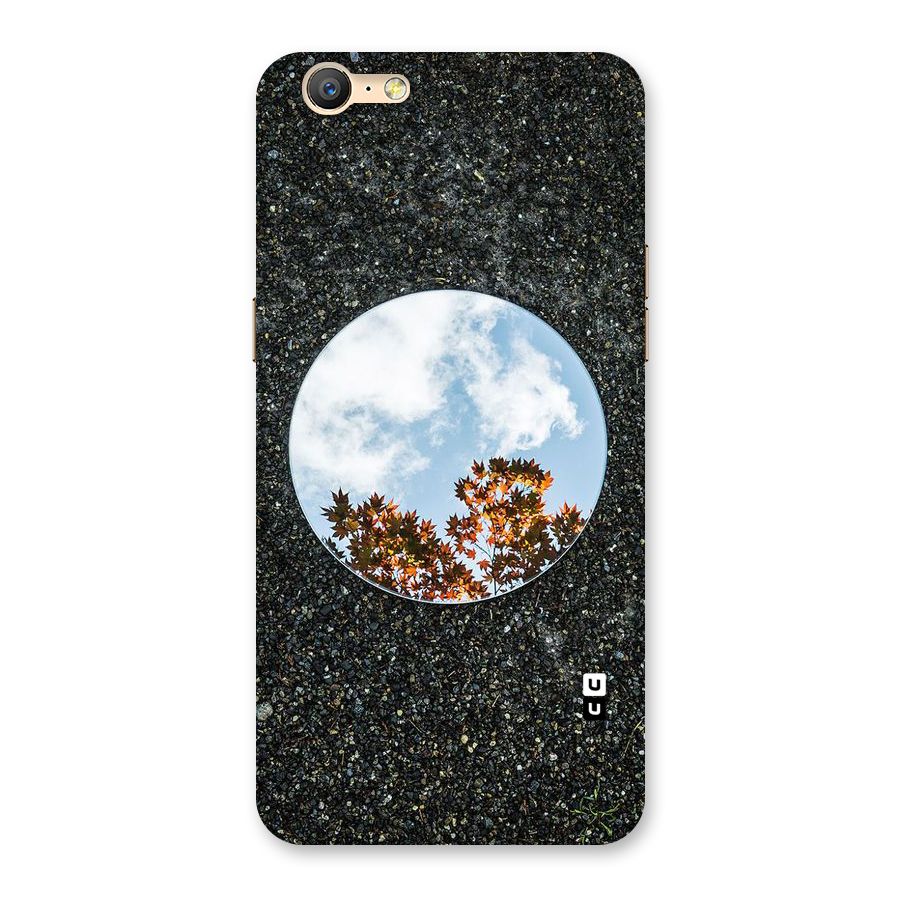 Beautiful Sky Leaves Back Case for Oppo A57