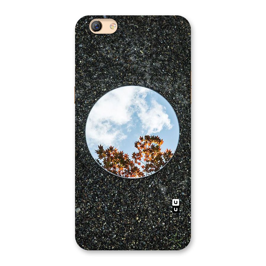 Beautiful Sky Leaves Back Case for Oppo F3 Plus