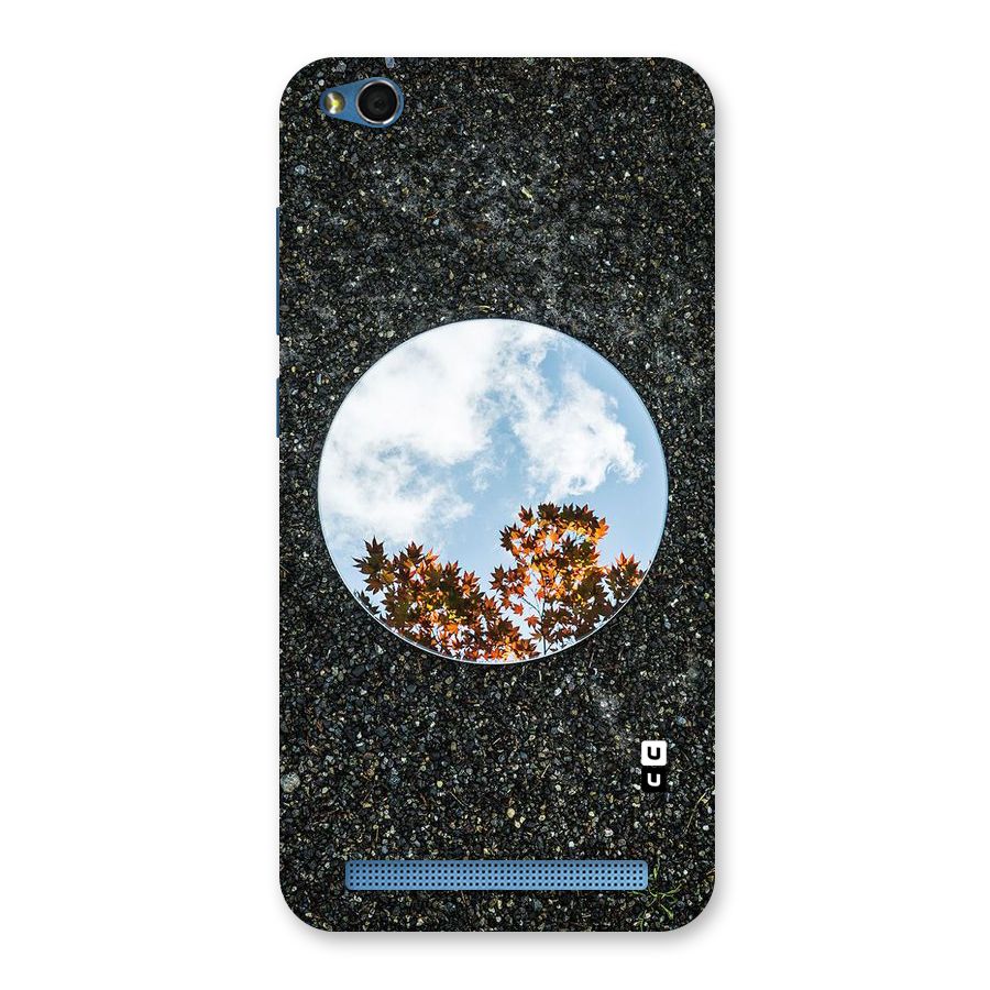 Beautiful Sky Leaves Back Case for Redmi 5A