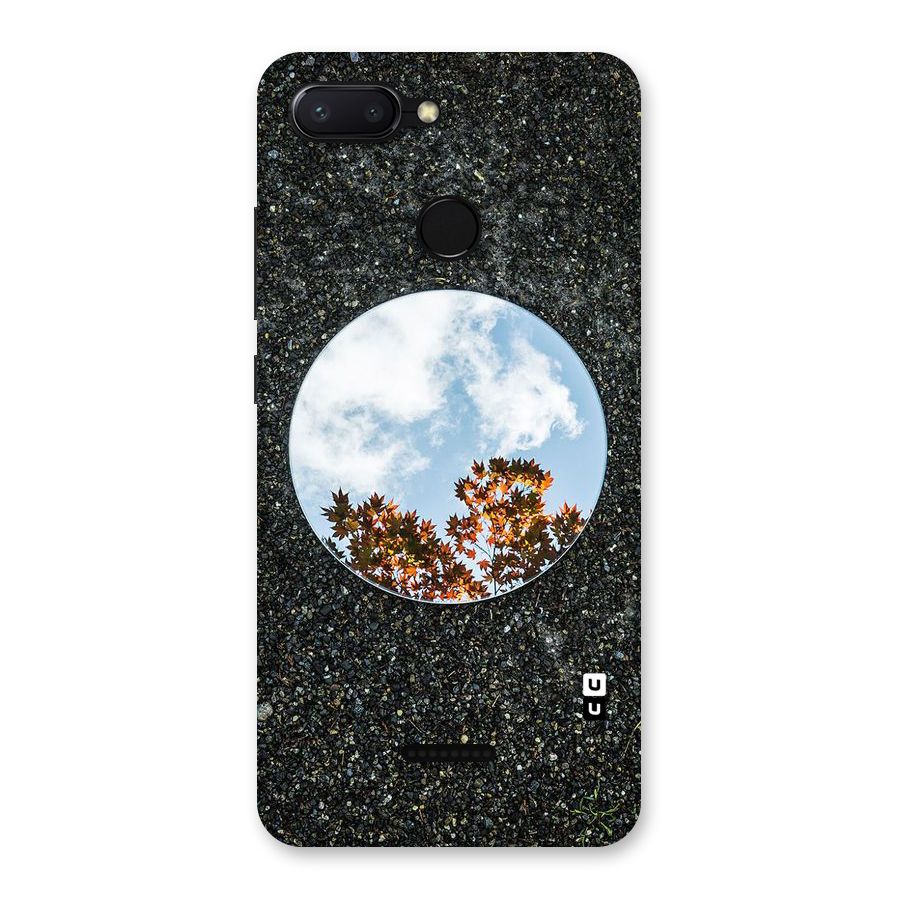Beautiful Sky Leaves Back Case for Redmi 6