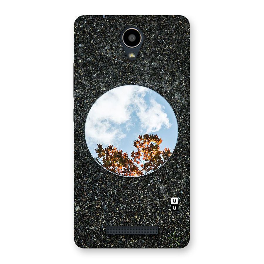 Beautiful Sky Leaves Back Case for Redmi Note 2