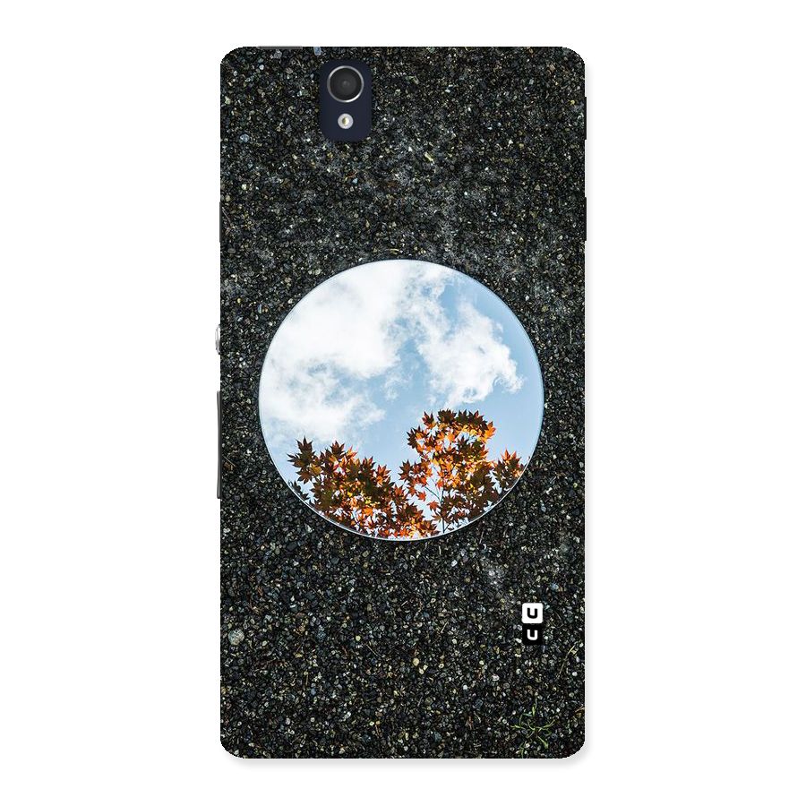 Beautiful Sky Leaves Back Case for Sony Xperia Z