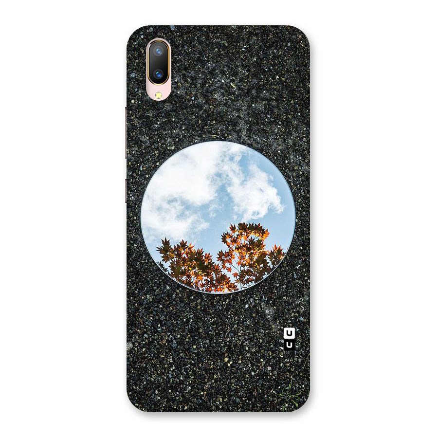 Beautiful Sky Leaves Back Case for Vivo V11 Pro