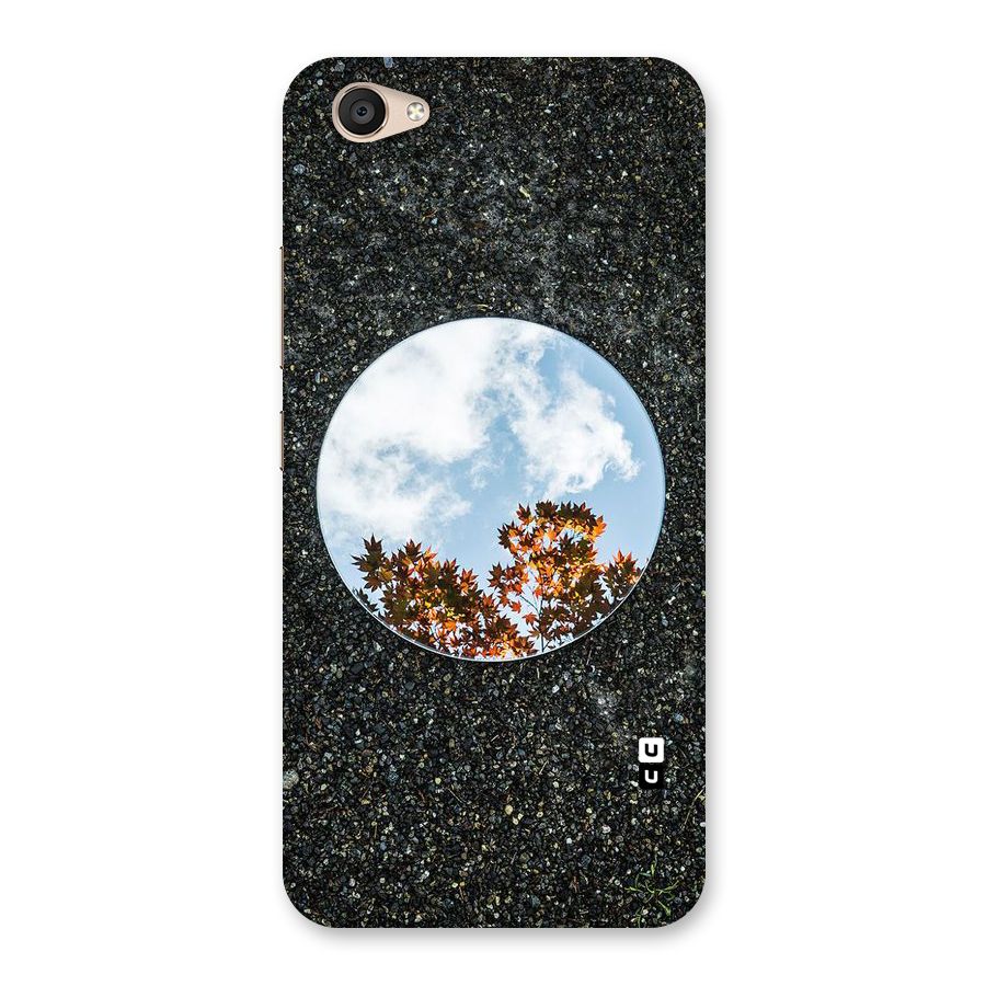 Beautiful Sky Leaves Back Case for Vivo V5 Plus
