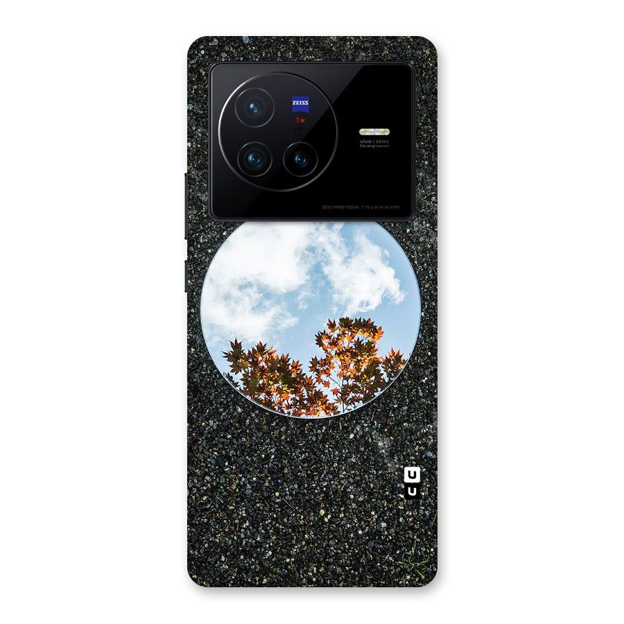 Beautiful Sky Leaves Back Case for Vivo X80