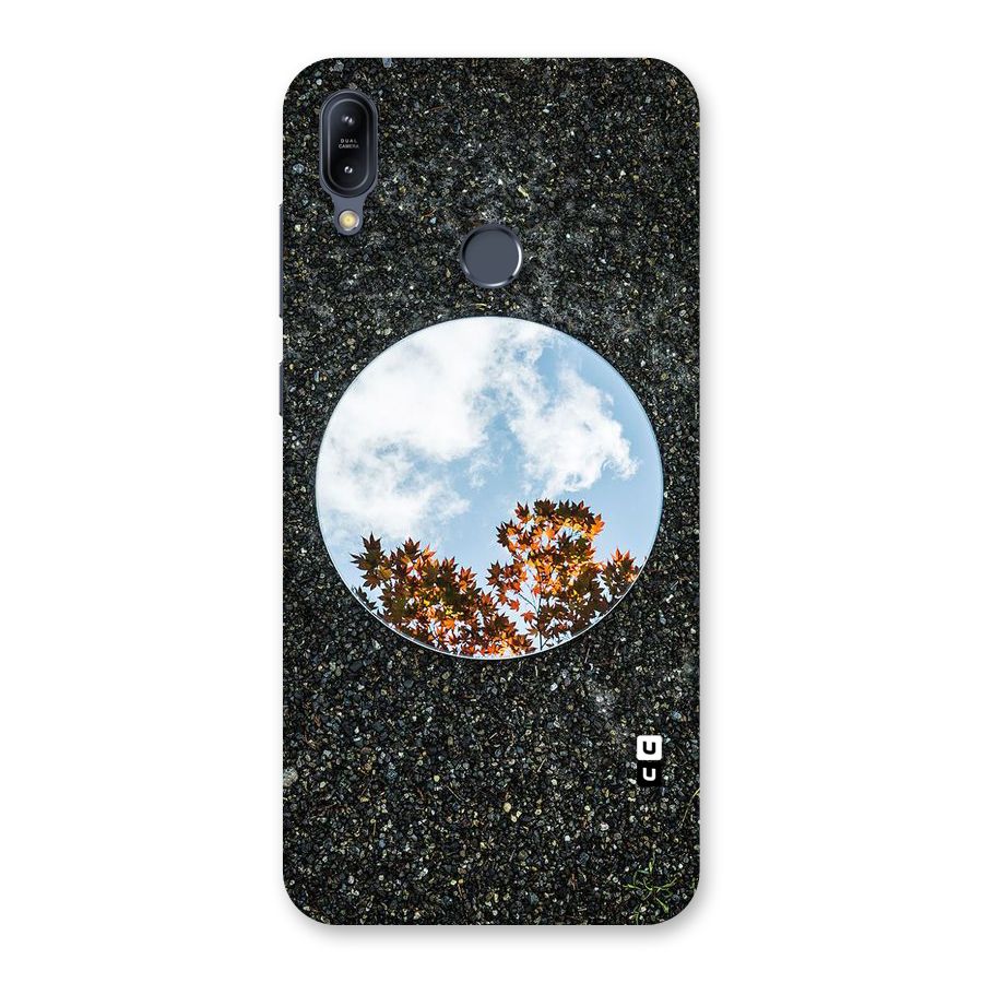 Beautiful Sky Leaves Back Case for Zenfone Max M2