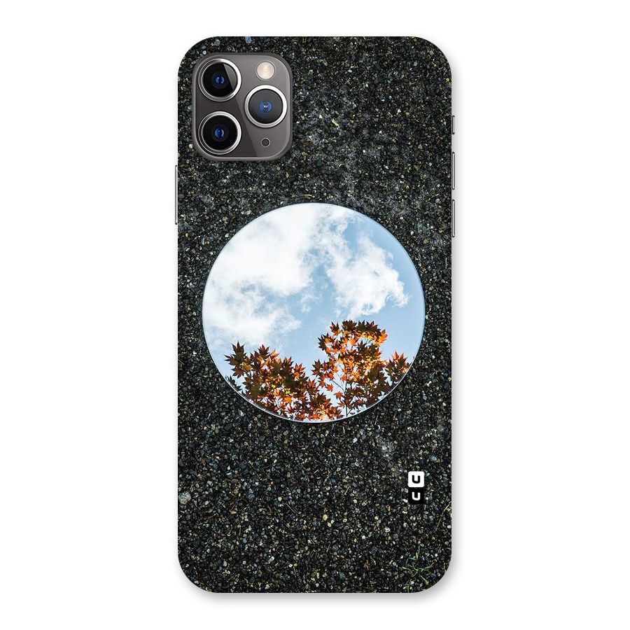 Beautiful Sky Leaves Back Case for iPhone 11 Pro Max