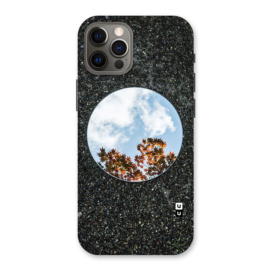 Beautiful Sky Leaves Back Case for iPhone 12 Pro
