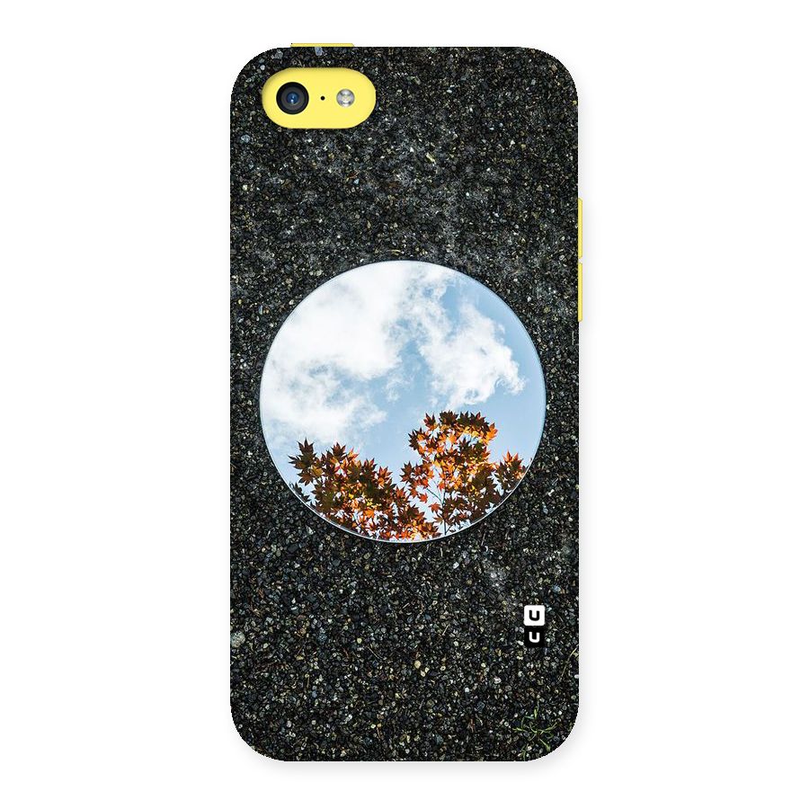Beautiful Sky Leaves Back Case for iPhone 5C