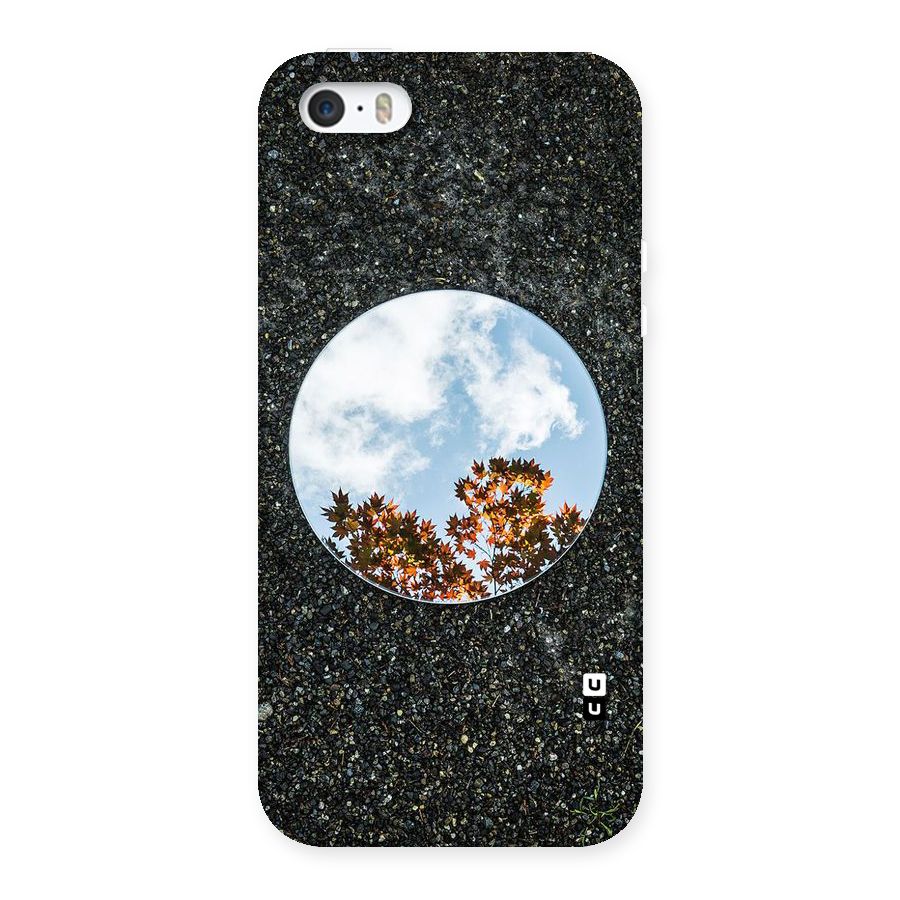Beautiful Sky Leaves Back Case for iPhone SE