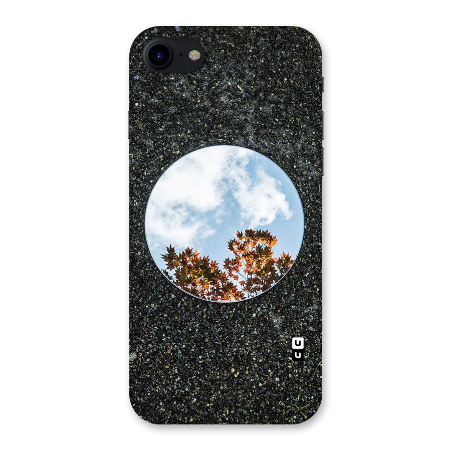 Beautiful Sky Leaves Back Case for iPhone SE 2020