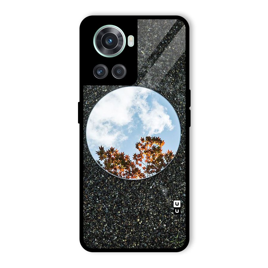 Beautiful Sky Leaves Glass Back Case for OnePlus 10R