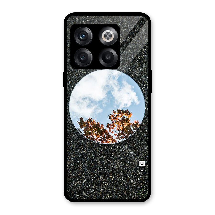 Beautiful Sky Leaves Glass Back Case for OnePlus 10T