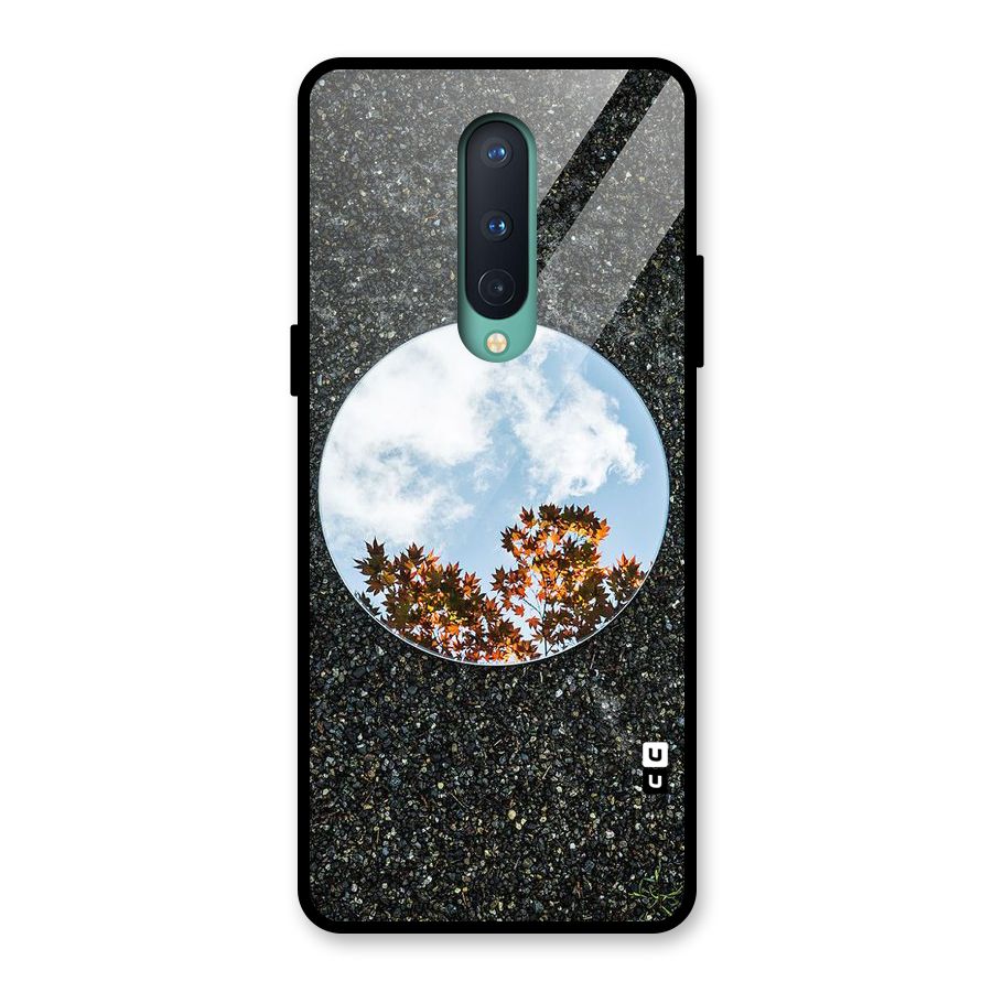 Beautiful Sky Leaves Glass Back Case for OnePlus 8