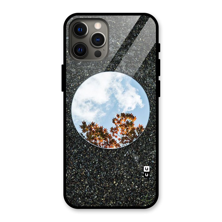 Beautiful Sky Leaves Glass Back Case for iPhone 12 Pro Max