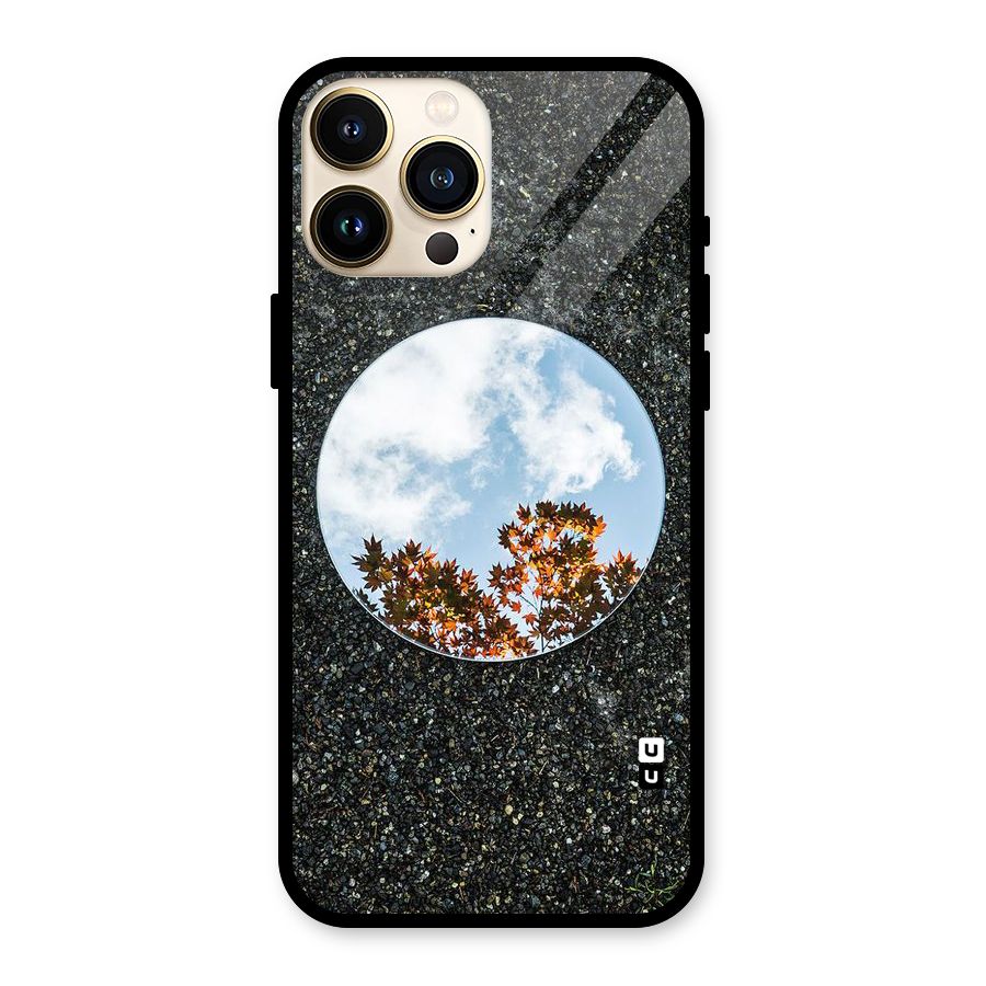 Beautiful Sky Leaves Glass Back Case for iPhone 13 Pro Max