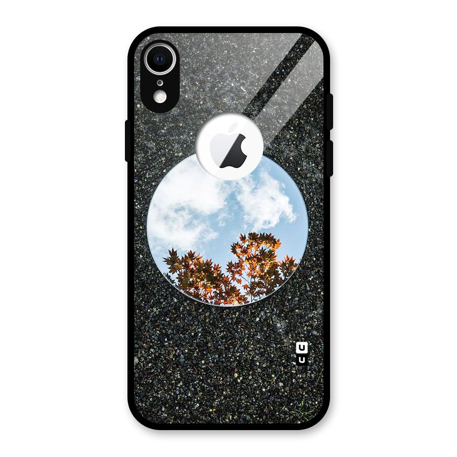 Beautiful Sky Leaves Glass Back Case for iPhone XR Logo Cut