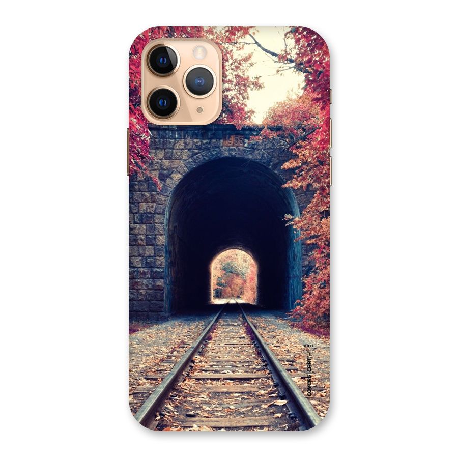 Beautiful Track Back Case for iPhone 11 Pro