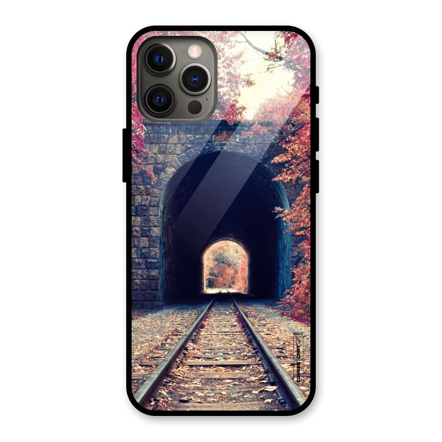 Beautiful Track Glass Back Case for iPhone 12 Pro Max