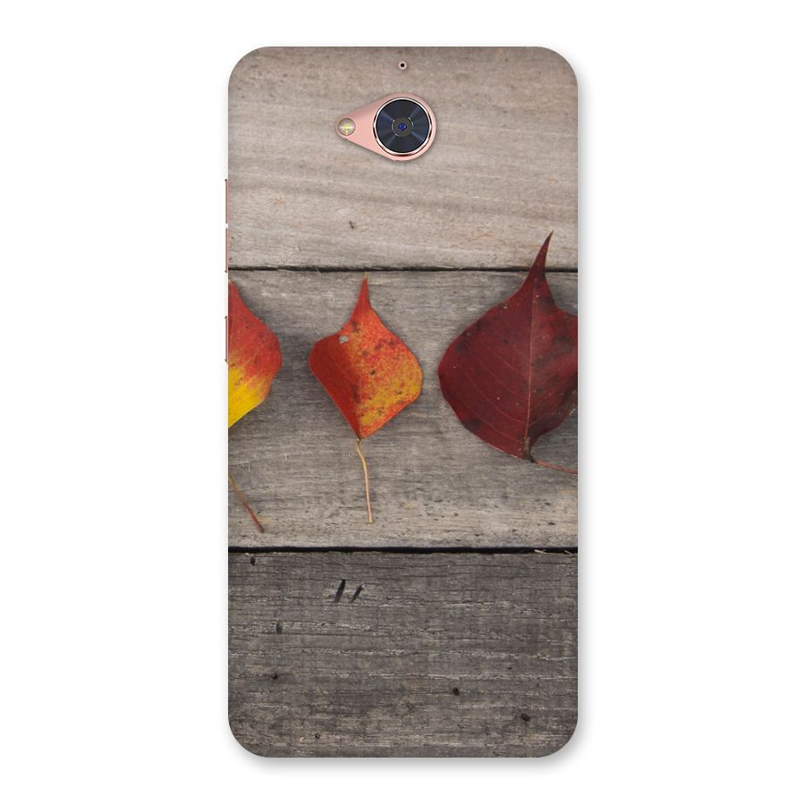 Beautiful Wood Leafs Back Case for Gionee S6 Pro