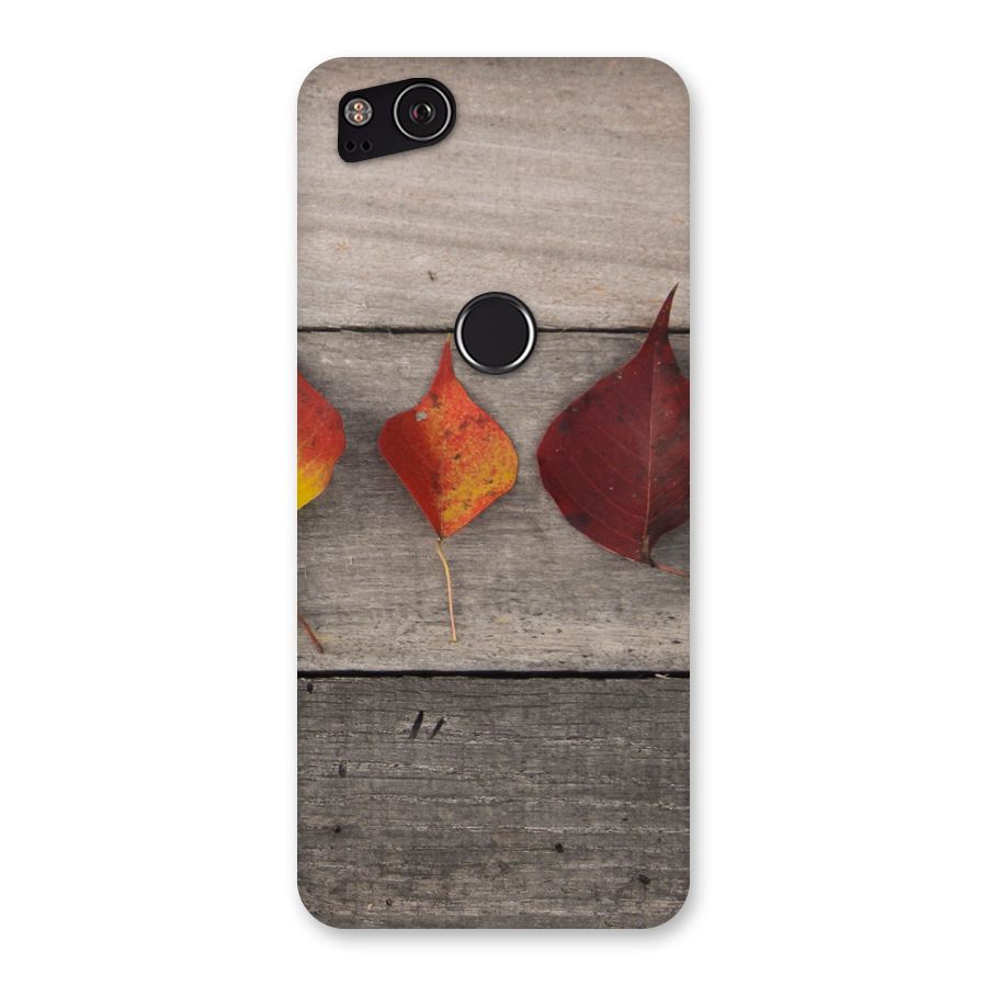 Beautiful Wood Leafs Back Case for Google Pixel 2
