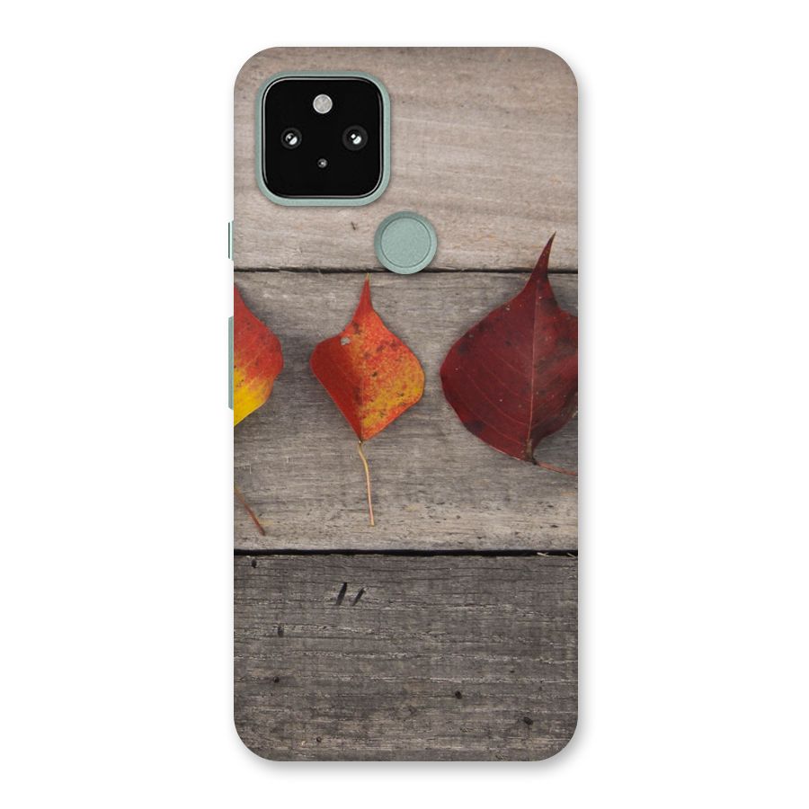 Beautiful Wood Leafs Back Case for Google Pixel 5