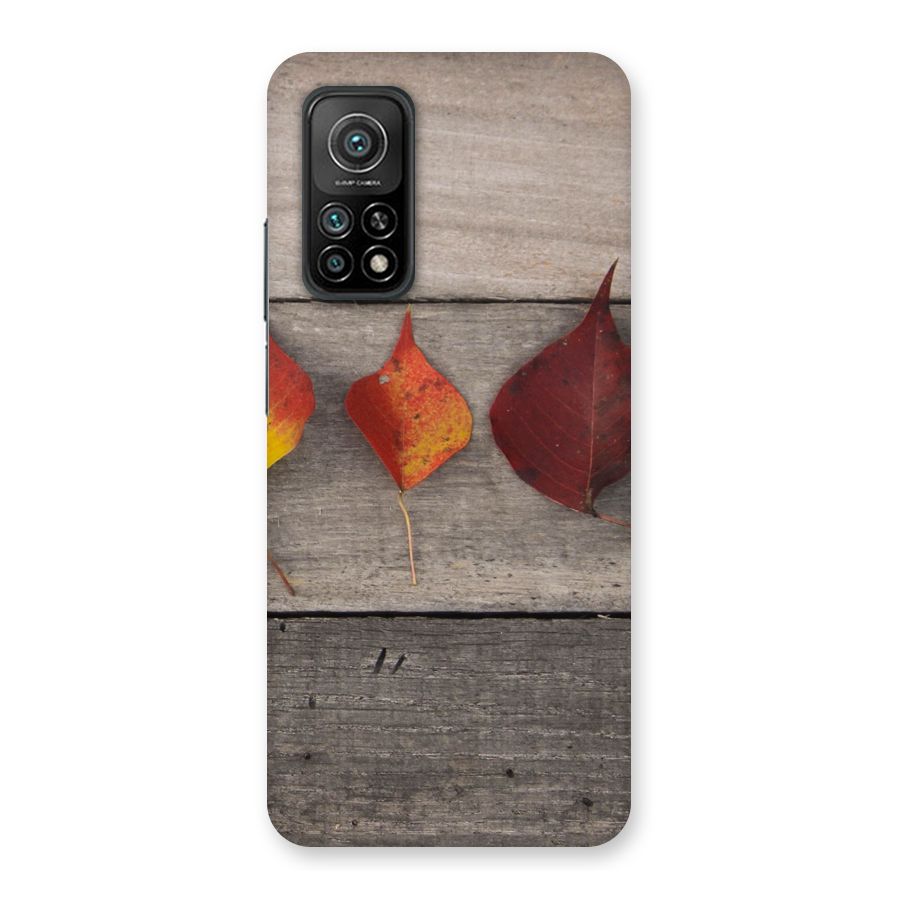 Beautiful Wood Leafs Back Case for Mi 10T 5G