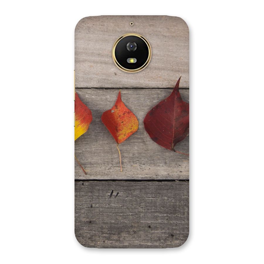 Beautiful Wood Leafs Back Case for Moto G5s