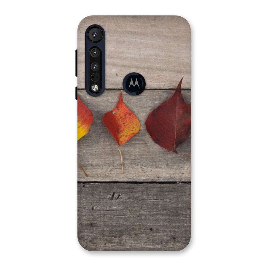 Beautiful Wood Leafs Back Case for Motorola One Macro