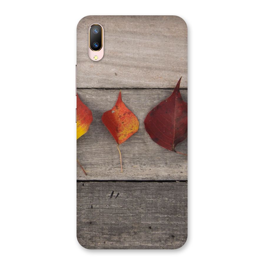 Beautiful Wood Leafs Back Case for Vivo V11 Pro