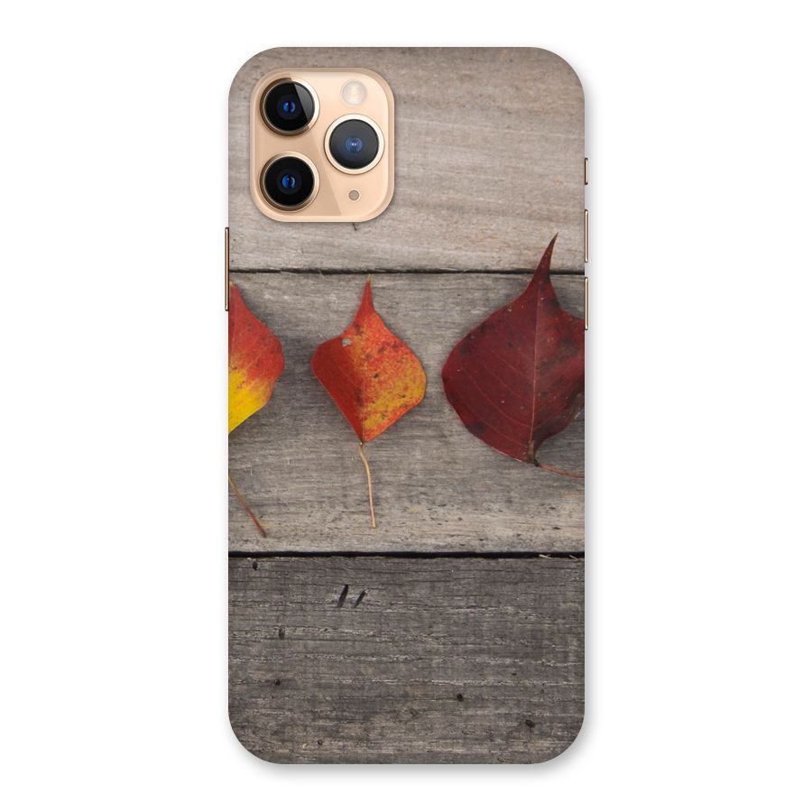 Beautiful Wood Leafs Back Case for iPhone 11 Pro