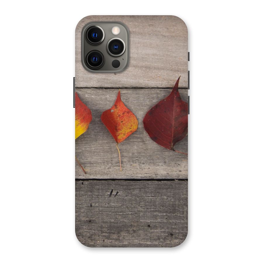 Beautiful Wood Leafs Back Case for iPhone 12 Pro Max