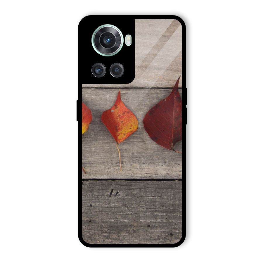 Beautiful Wood Leafs Glass Back Case for OnePlus 10R