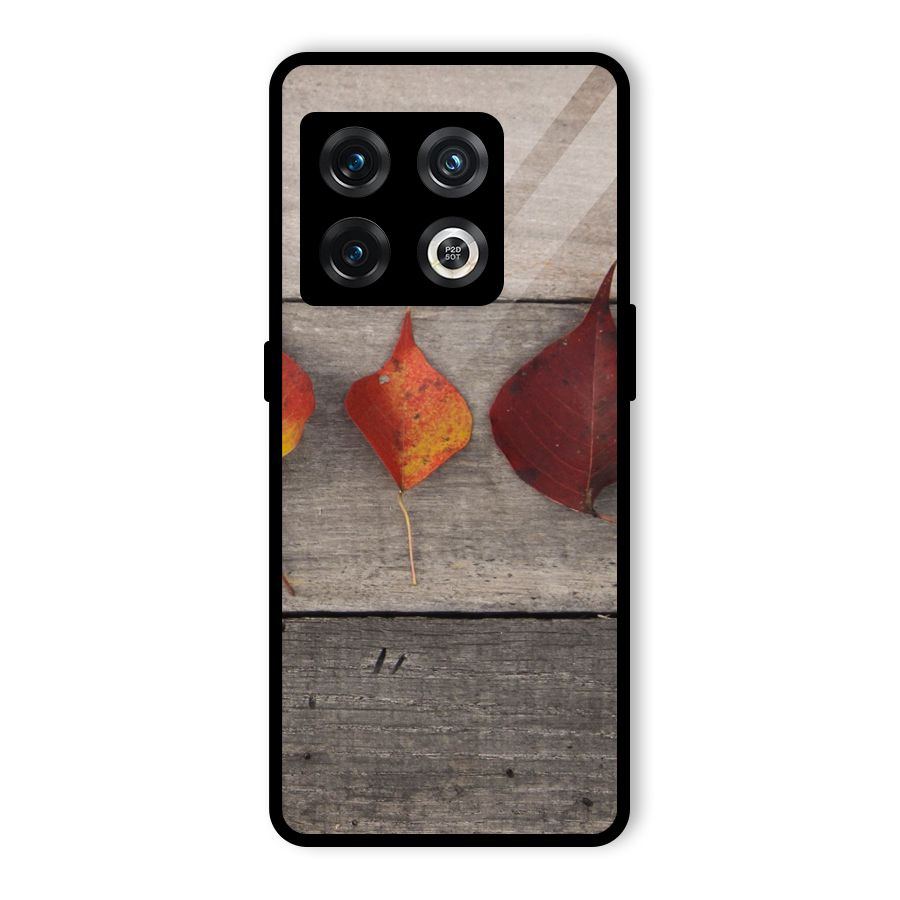 Beautiful Wood Leafs Glass Back Case for OnePlus 10 Pro 5G