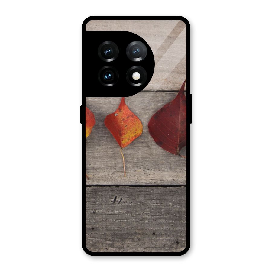 Beautiful Wood Leafs Glass Back Case for OnePlus 11