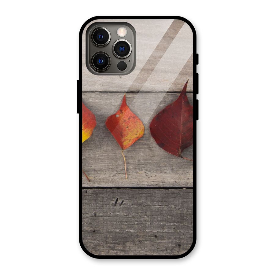 Beautiful Wood Leafs Glass Back Case for iPhone 12 Pro