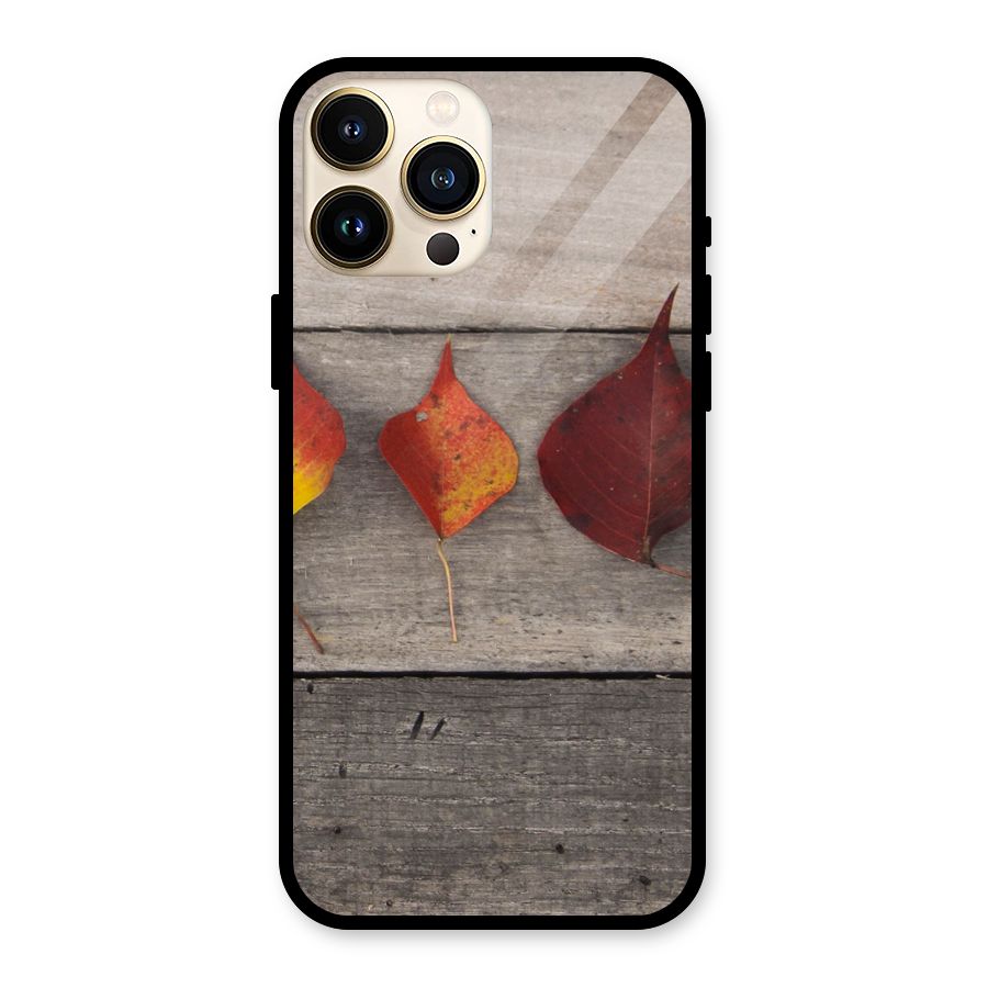 Beautiful Wood Leafs Glass Back Case for iPhone 13 Pro Max