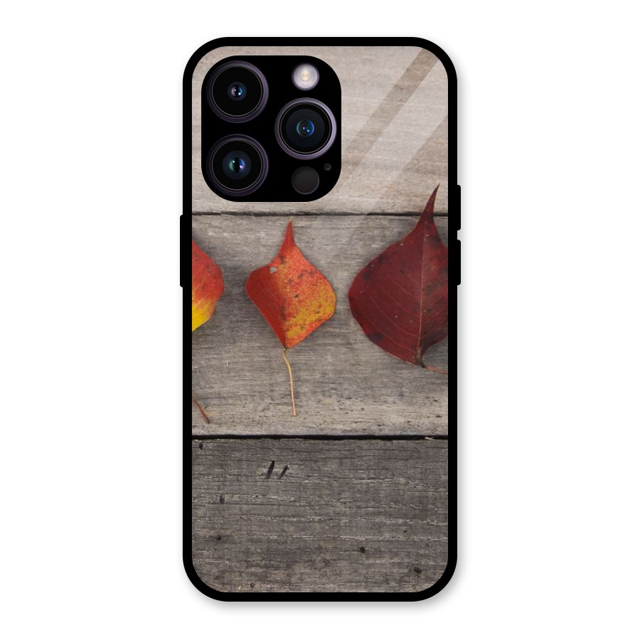 Beautiful Wood Leafs Glass Back Case for iPhone 14 Pro