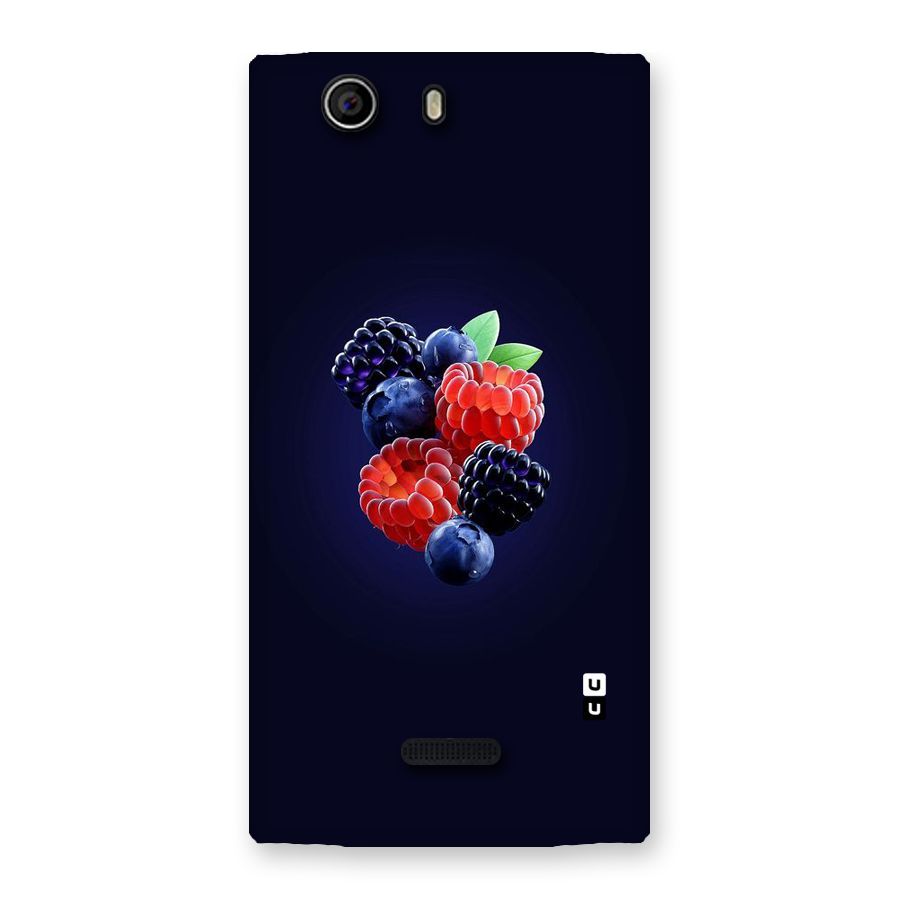 Berry Blast Back Case for Canvas Nitro 2 E311