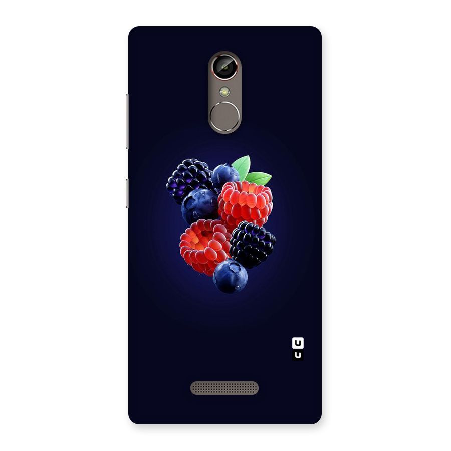 Berry Blast Back Case for Gionee S6s