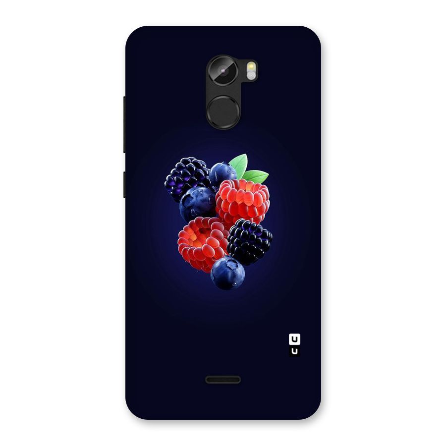 Berry Blast Back Case for Gionee X1